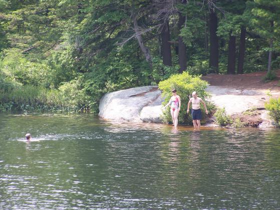 swimmers2